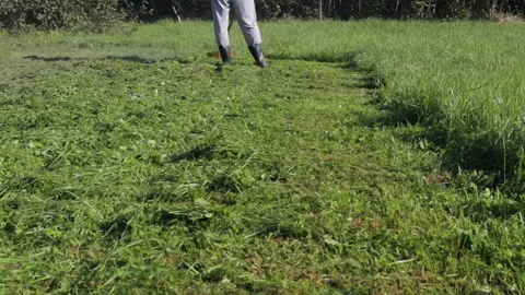 Man in boots mows the grass Video stock 96117530