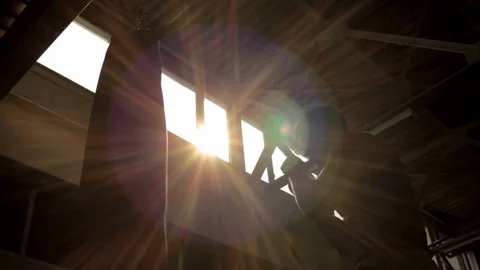 Man boxing in sunlight Vidéo 77876007