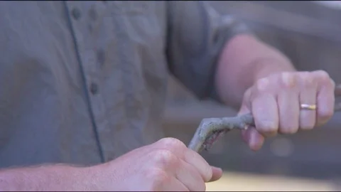 Man breaking a bunch of dry twigs for firewood Vidéo 76139739