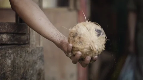 Man breaking coconut with knife at local market Stock Footage 108740321