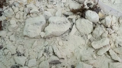 Man breaking marlstone with a Hammer Stock Footage 276423820