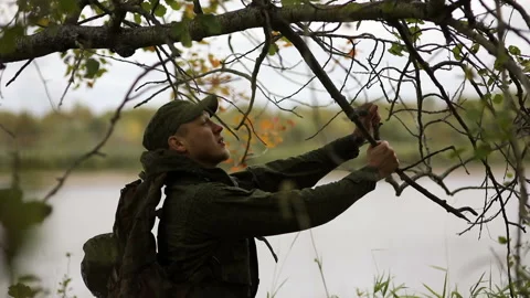 Man breaks branches Video stock 93539335