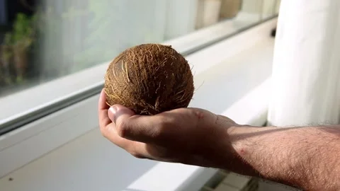 Man breaks coconut, to drink refreshing sweet coconut milk, exotic fruit Stock Footage 136089701