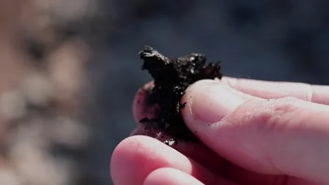 A man breaks a piece of coal with his fingers into dust. Stock Footage 169462022