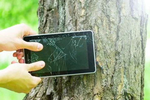 The man breaks the tablet PC on the tree Stock Photos