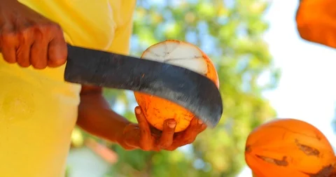 Man breaks young coconut. 4K Video Stock Footage 89713231