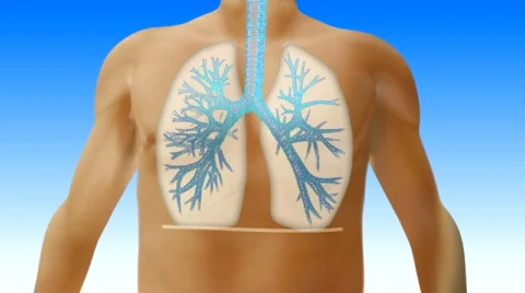 Man breathes correctly Vidéo 531223