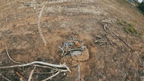 The man brings an armful of dry branches, breaks them . Stock Footage 160189082