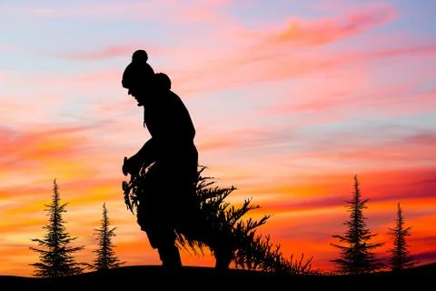 Man brings Christmas tree at sunset Illustrazione stock