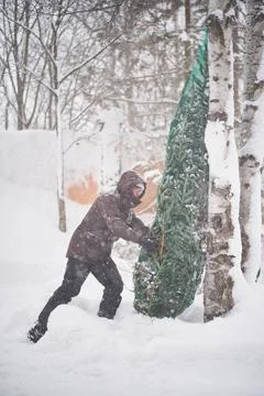 A man brought a Christmas tree into his yard during a snowstorm. Stock Photos