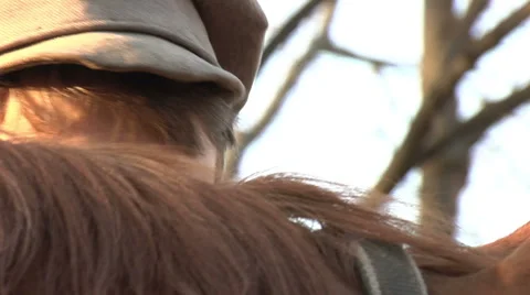 A Man With Brown Horse Video stock 52375575