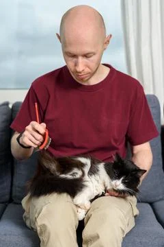 Man brushing his cat Stock Photos