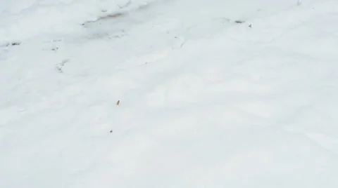 Man Brushing Snow Shovel  Stock Footage 59024766