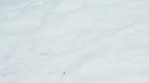 Man Brushing Snow Shovel  Stock Footage 59024768