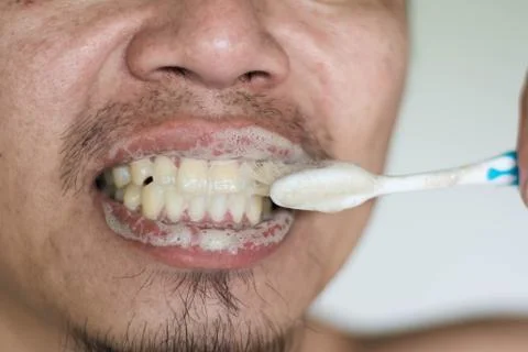 Man brushing teeth with herb toothpaste in morning Photos