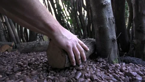 A man building a bench with logs Video stock 149743570