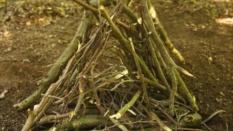 Man Building A Campfire in the Forest. Laying sticks for a Campfire Video stock 306516415