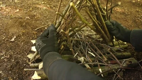 Man Building A Campfire in the Forest. Laying sticks for a Campfire Stock Footage 306516418