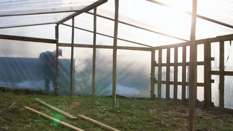 Man building a greenhouse Stock Footage 262209334
