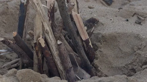 Man Builds Small Fire In Hole On Sandy Beach Stock Footage 344911225