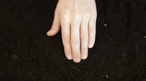 Man buries treasure Stock Footage 32329496