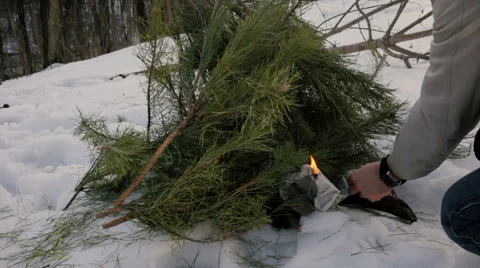 Man burned paper , a fire of pine trees, Slow Motion, HD 1080 Stock Footage 60258961