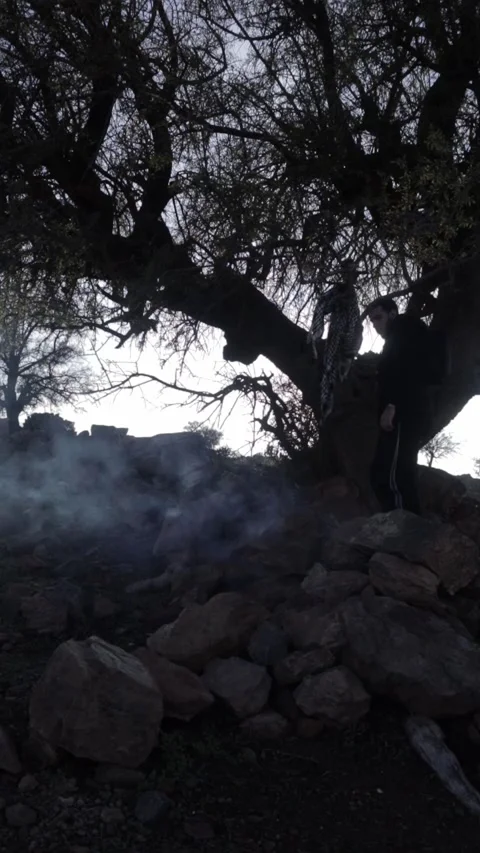 Man by Burning Fire Under Ancient Tree on Rocky Mountain Tiznit Morocco Stock Footage 332775179