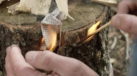 Man burning firewood in forest Stock Footage 68493770