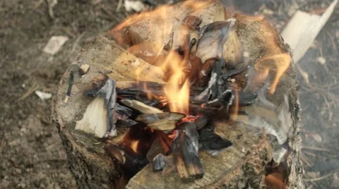 Man burning firewood in forest Stock Footage 68493834