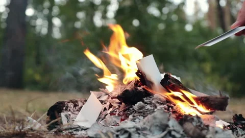 A man burns documents in fire Stock Footage 163265823