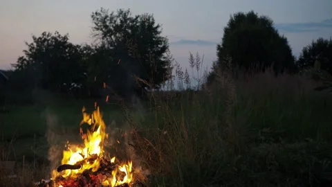 A man burns garbage in a bonfire in the backyard. newspapers, old clothes, tree Stock Footage 168899162
