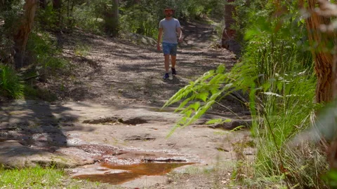 Man bush walking towards camera, past stream, wearing Australian hat Stock Footage 149018471