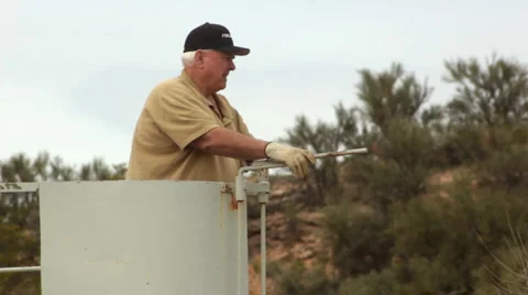 Man in Cage Sorting Cattle CU HD 30P 5s Stock-Footage 4717620