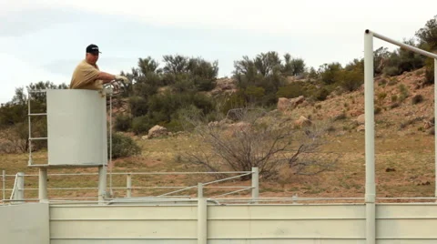 Man in Cage Sorting Cattle Vídeo Stock 4718017