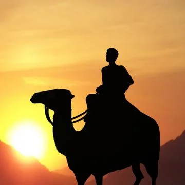 Man on camel Illustrazione stock