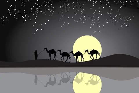 A man with camels in the desert Illustrazione stock