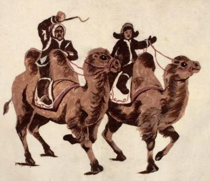 Man on camels Stock Photos