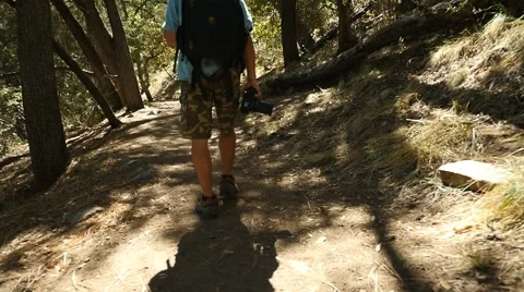 A man with a camera hiking in the woods Stock Footage 62897267