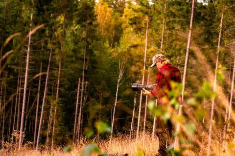 Man with camera in summer forest during sunset Stock Photos