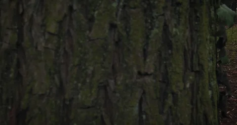 A man with a camera taking pictures in the forest park in autumn Video stock 98111223