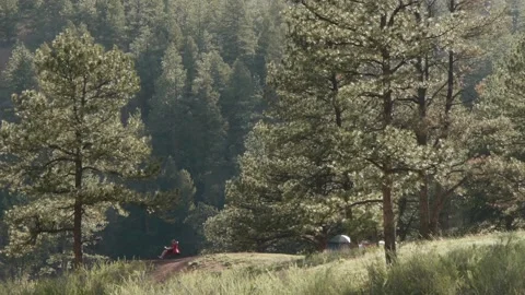 Man camping and reading in middle of a forest Stockbeeldmateriaal 132575393