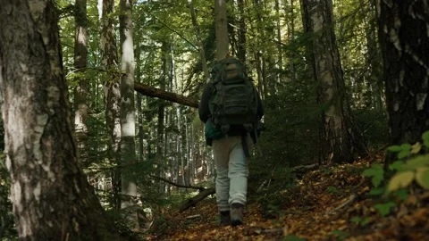 Man with camping backpack walking through the dense sunny forest Stock Footage 194134271