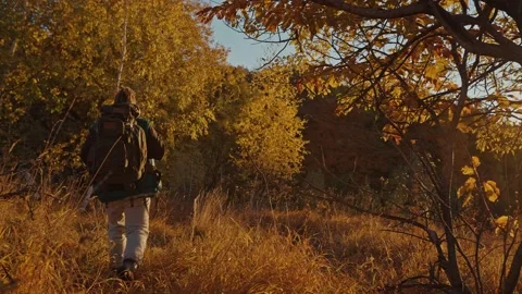 Man with camping backpack walking through autumn forest Stock Footage 194370663