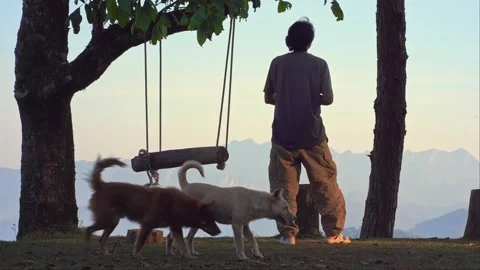 Man camping work outdoor and relax sit on wooden swing see layer of mountain Stock Footage 273290229