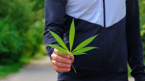 Man with cannabis leaf in summer. Selective focus. Stock Footage 205199933