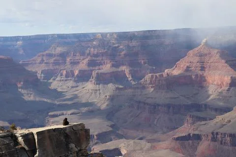Man in the Canyon 스톡 사진
