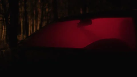 A man in the car with the red light Stock Footage 259069705