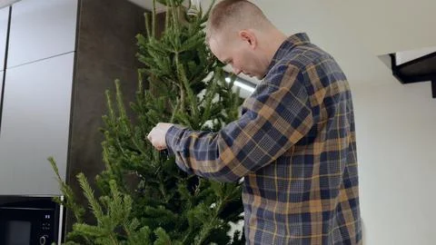 Man carefully hanging string lights on christmas tree, illuminating modern 写真素材