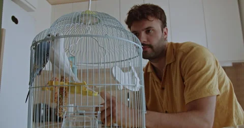 A Man Cares for His Pet Parakeets, Changing Their Water and Food in a Modern Video stock 303899320