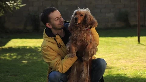 Man caress dog Stock Footage 130205979